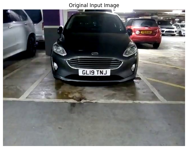 Original Input Image